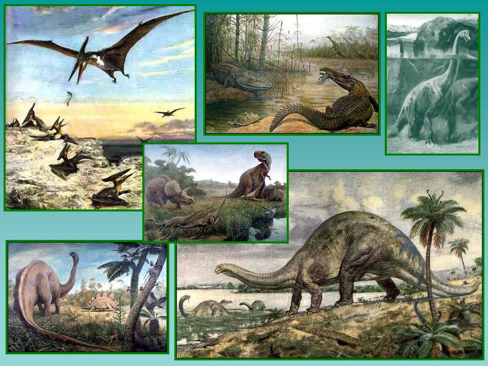 Как жили динозавры