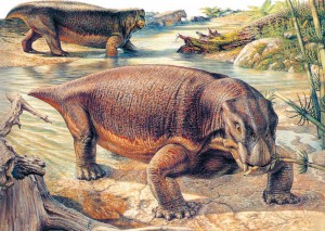 Откуда появились динозавры, предки динозавров