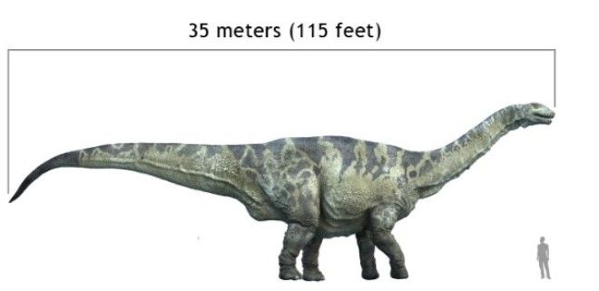 Почему динозавры были такими большими