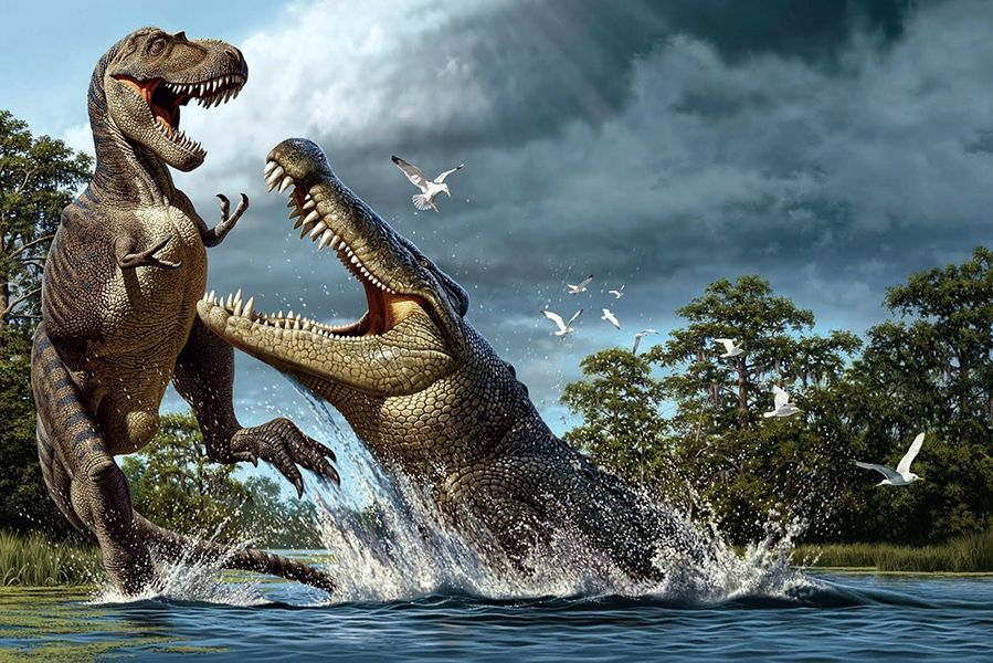 Динозавры драки, как дерутся динозавры, драки динозавров видео