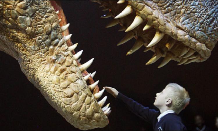 Актуальная болезнь которой болели даже динозавры ответ поле чудес