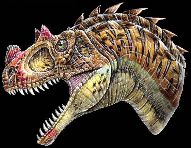 Цератозавр, фото цератозавр