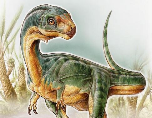 Чилизавр