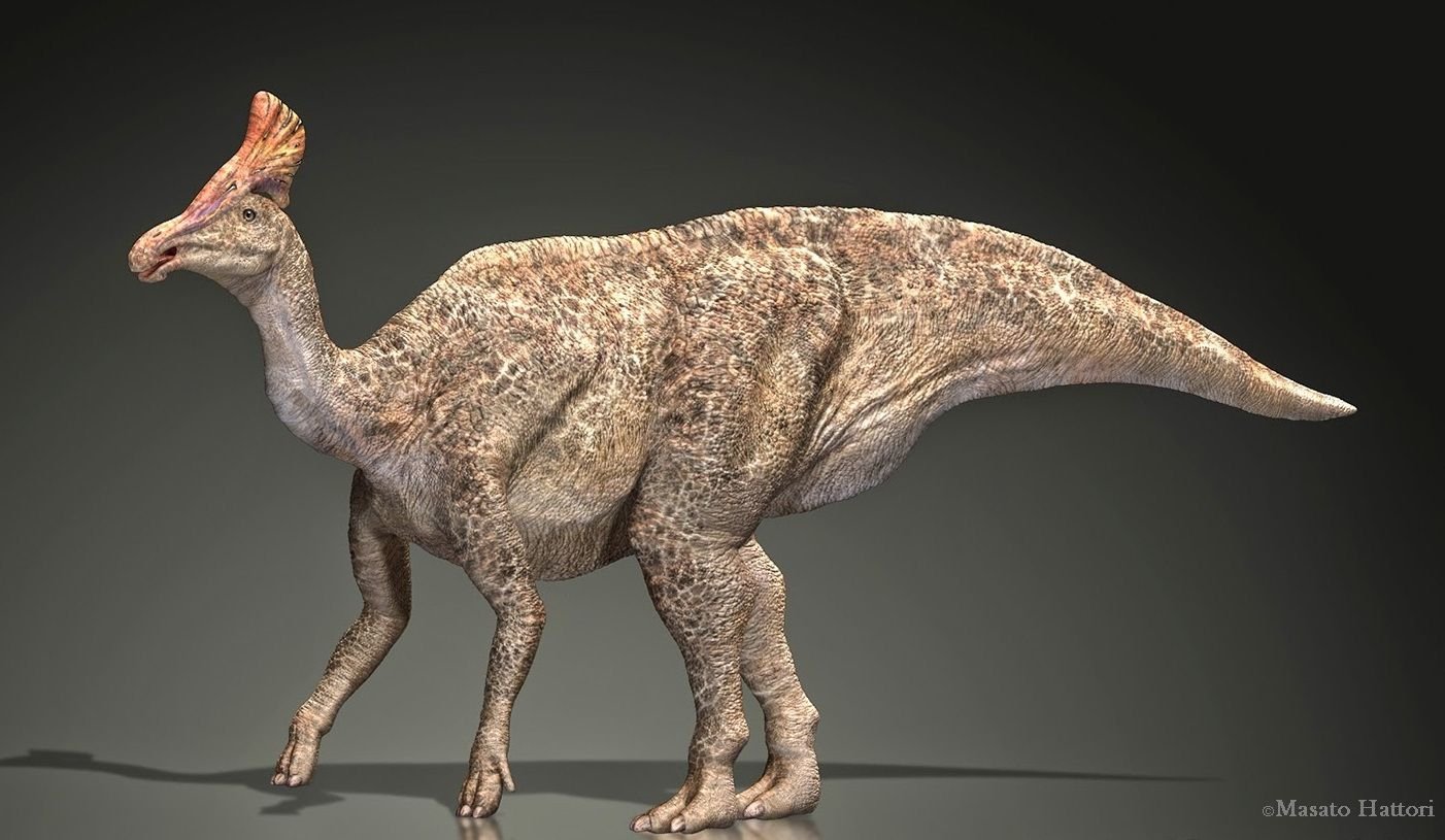 Гадрозавр, гадрозавр фото