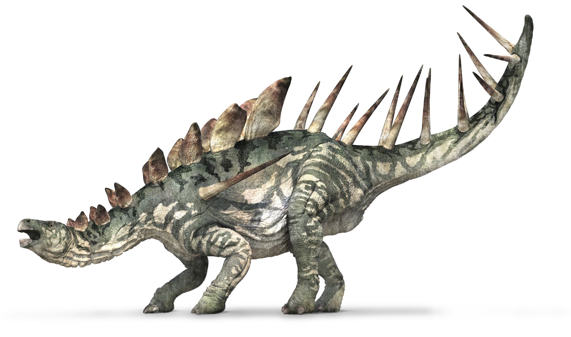 Кентрозавр, кентрозавр фото