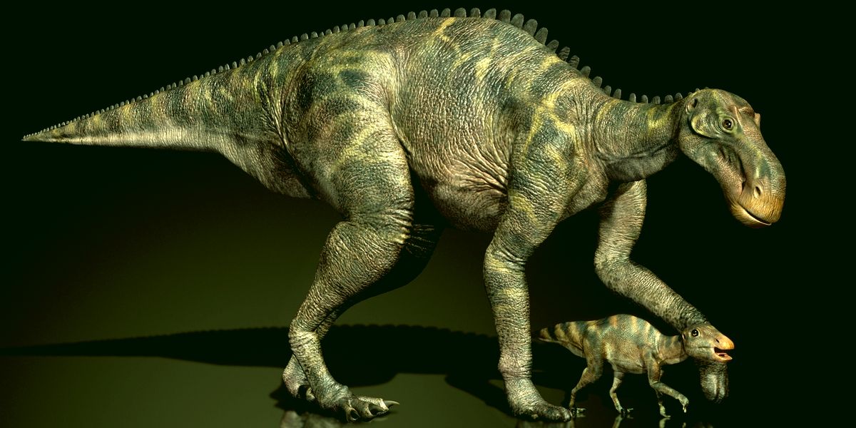 Майазавр, динозавр майазавр