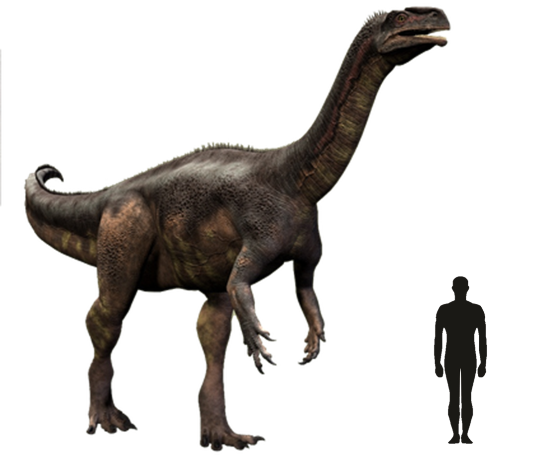 Платеозавр, фото платеозавр
