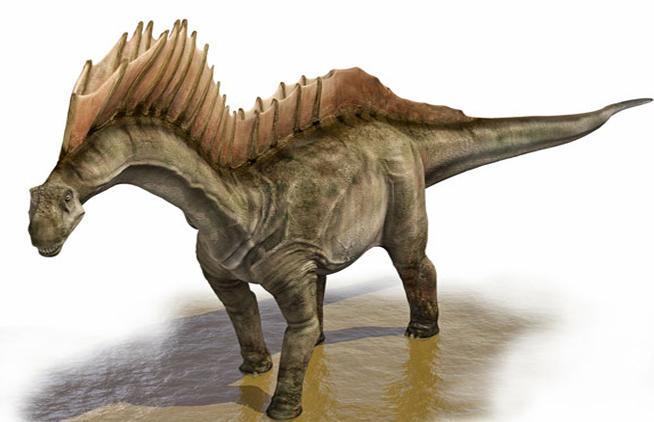 Амаргазавр, фото амаргазавр
