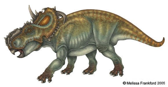 пахиринозавр