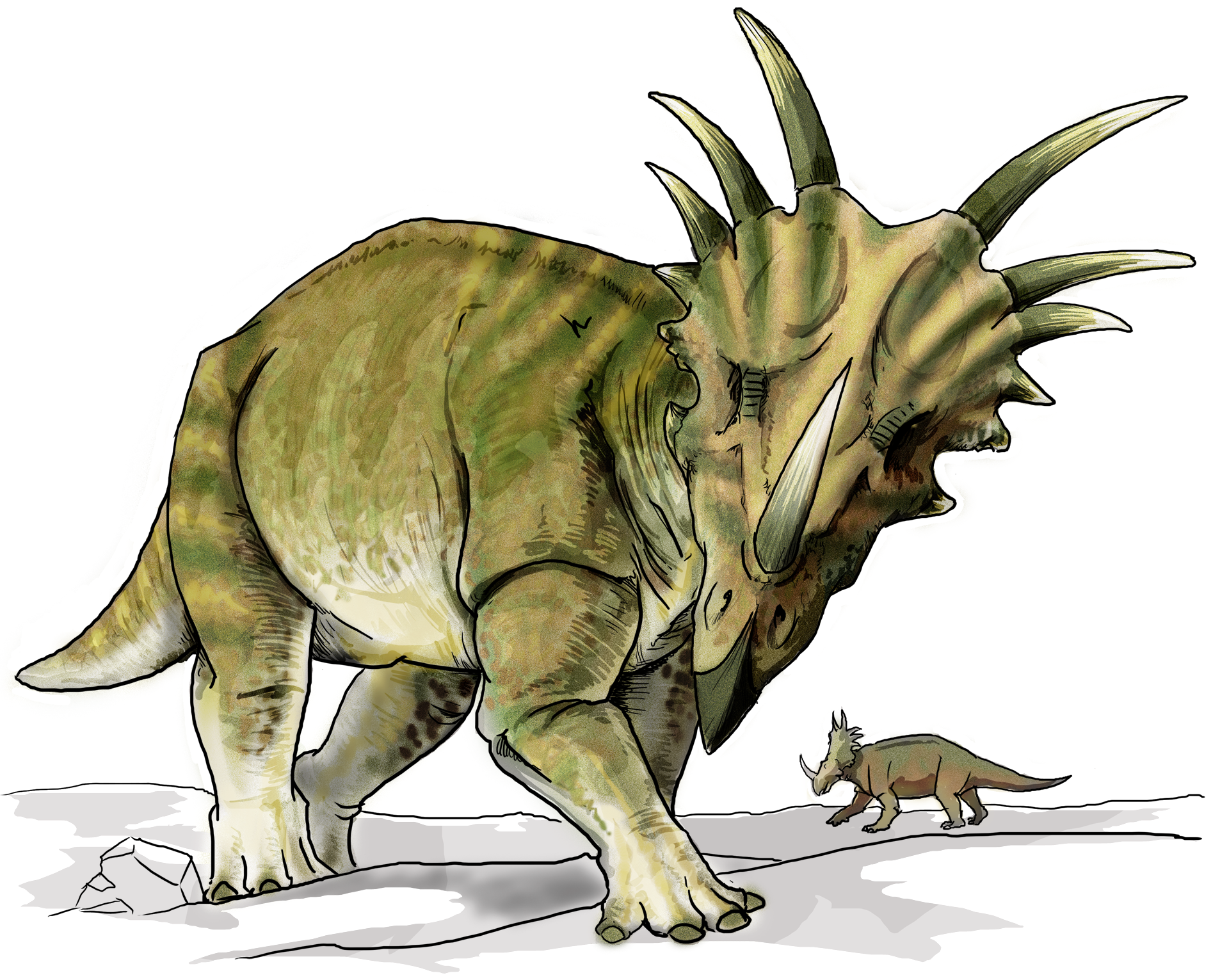Стиракозавр, стиракозавр фото