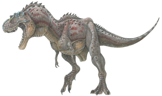 Альбертозавр, фото альбертозавр