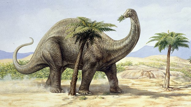 Апатозавр, фото апатозавр