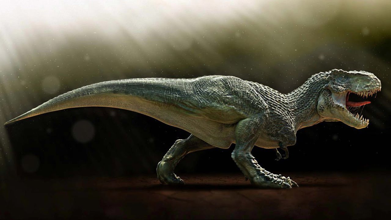 Фото тираннозавр, тиранозавр видео