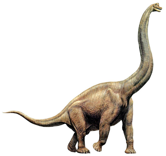 Брахиозавр, брахиозавр фото