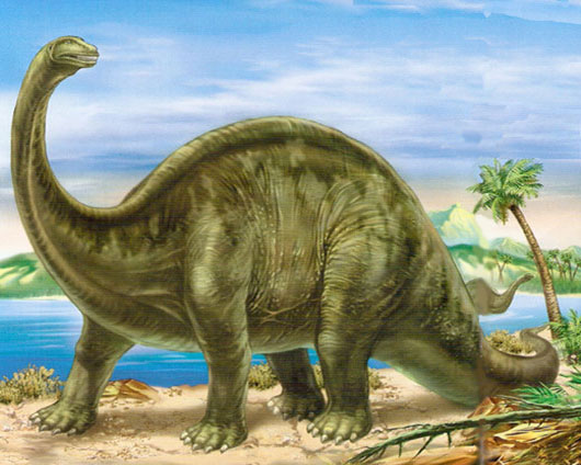 Бронтозавр, бронтозавр фото