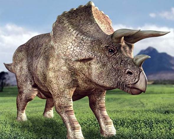 Трицератопс динозавр