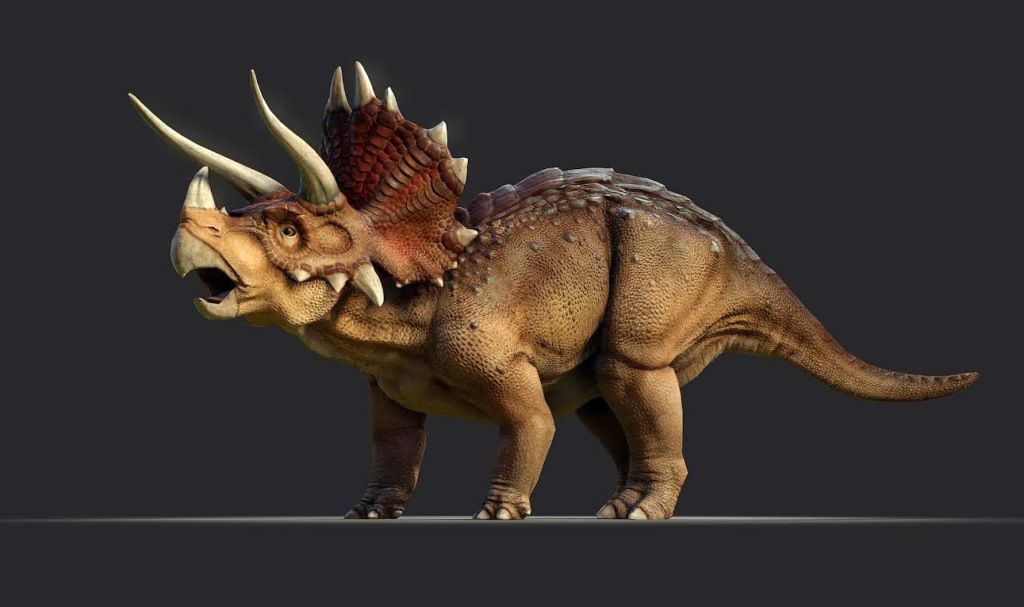 Трицератопс динозавр
