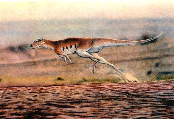 Самый маленький динозавр, Лесотозавр