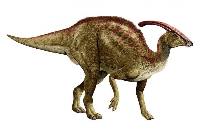 динозавр с гребнем на голове