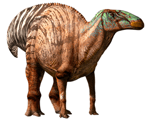 Эдмонтозавр, эдмонтозавр фото