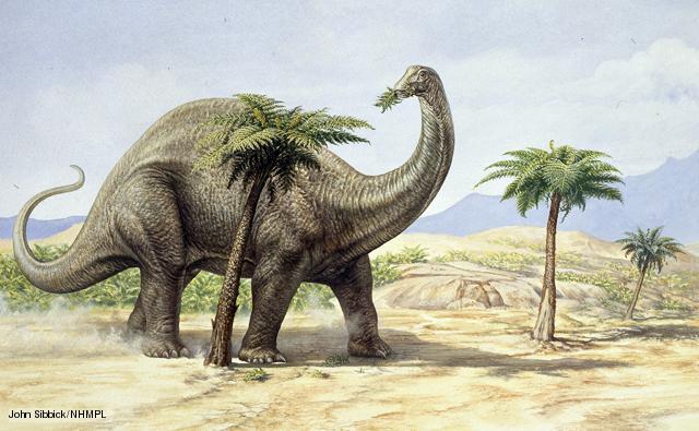 Динозавры с длинной шеей