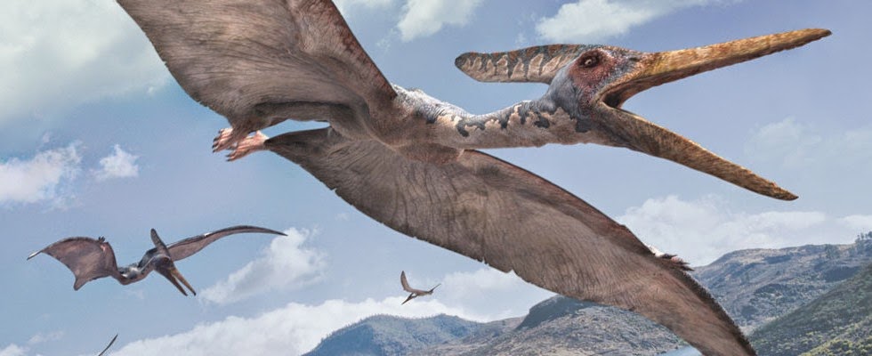 Птерозавр, динозавры птицы