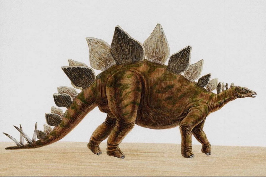 Динозавр с шипами на спине и хвосте