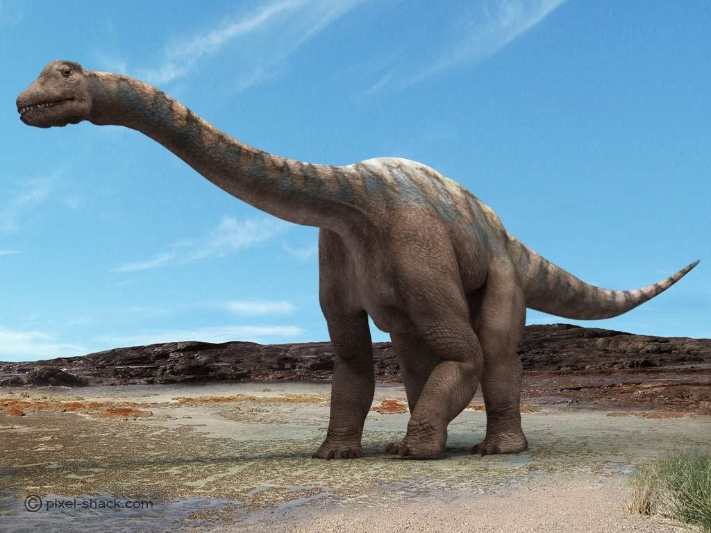 Самый тяжелый динозавр