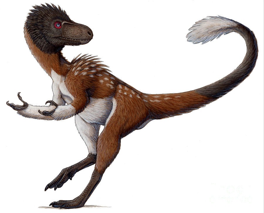 Дилонг, дилонг динозавр