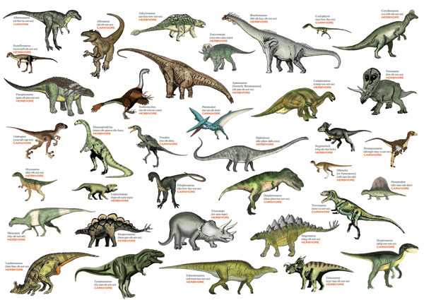 Виды динозавров, все виды динозавров
