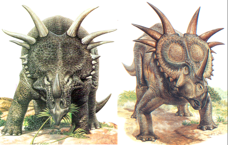 Динозавр с рогом на голове как называется