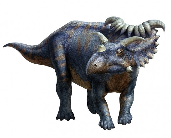 Динозавр с рогом на голове как называется