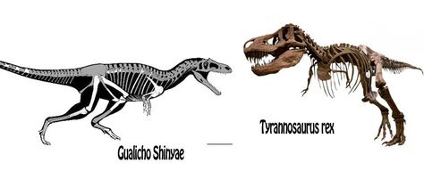 Динозавр с маленькими лапками