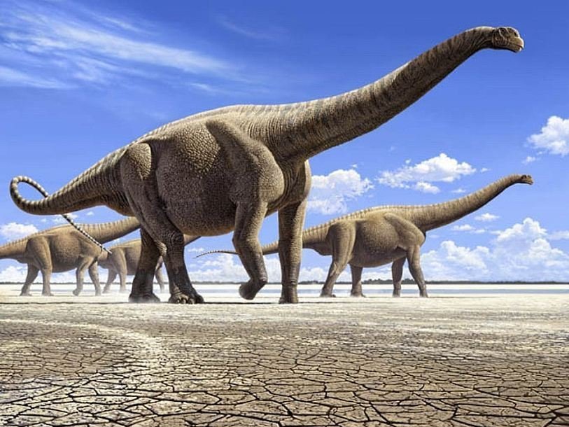 Динозавр травоядный самый большой