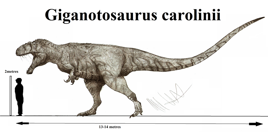 Самый большой хищный динозавр, самый крупный хищный динозавр