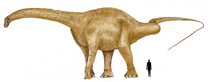 Гигантский динозавр 8 букв сканворд