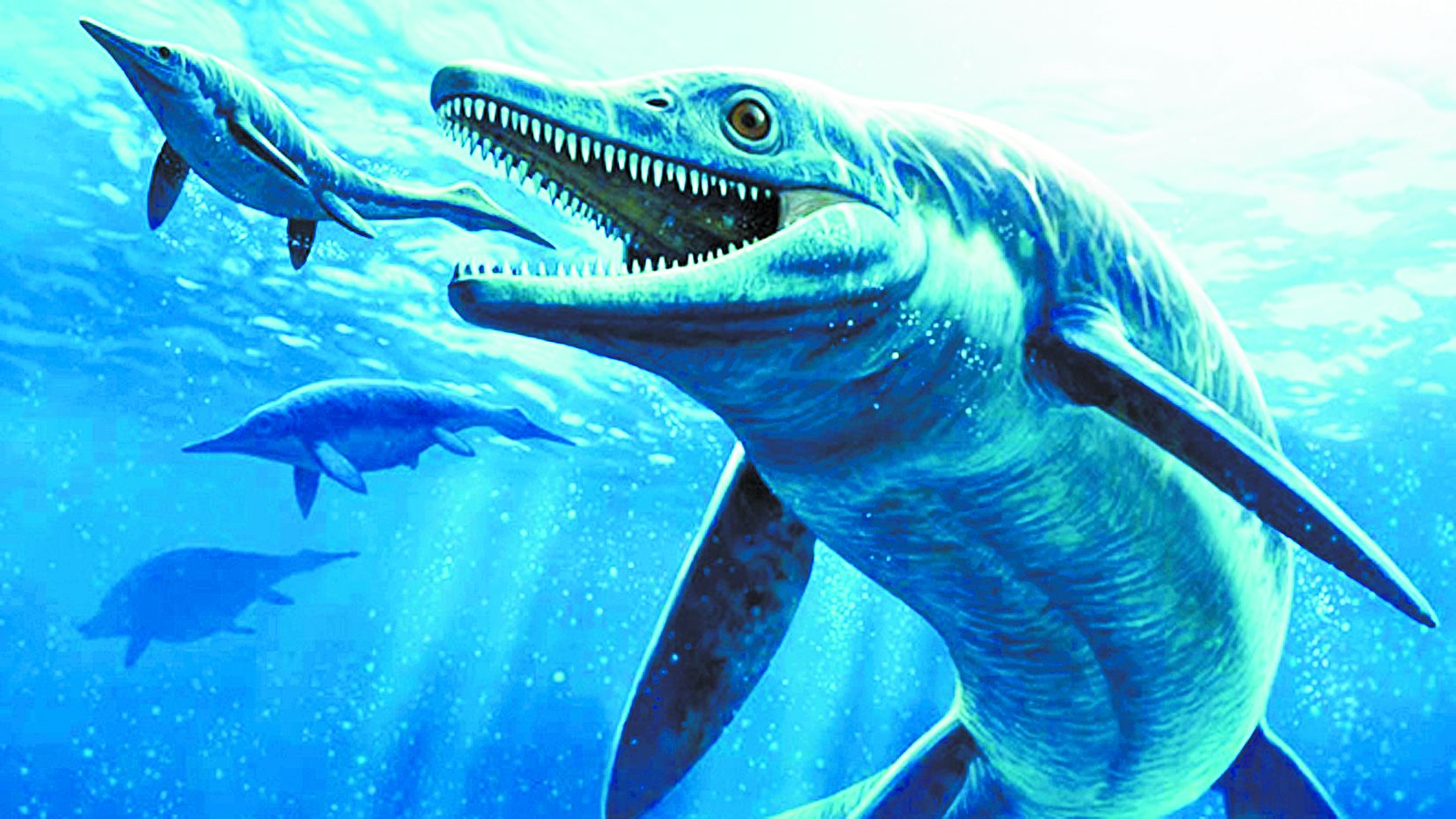 Картинки по запросу Ихтиозавр род