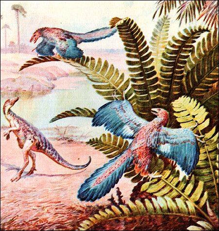 Какой признак свидетельствует о родстве археоптерикса с современными птицами