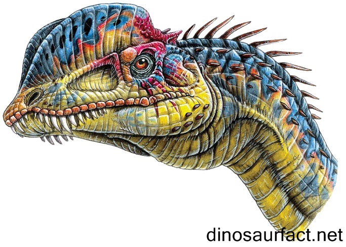 Как называется динозавр с гребнем на голове