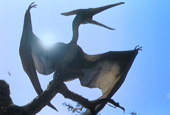 Летающие динозавры названия, летающие динозавры названия и фото