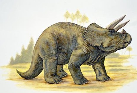 Динозавр похожий на носорога