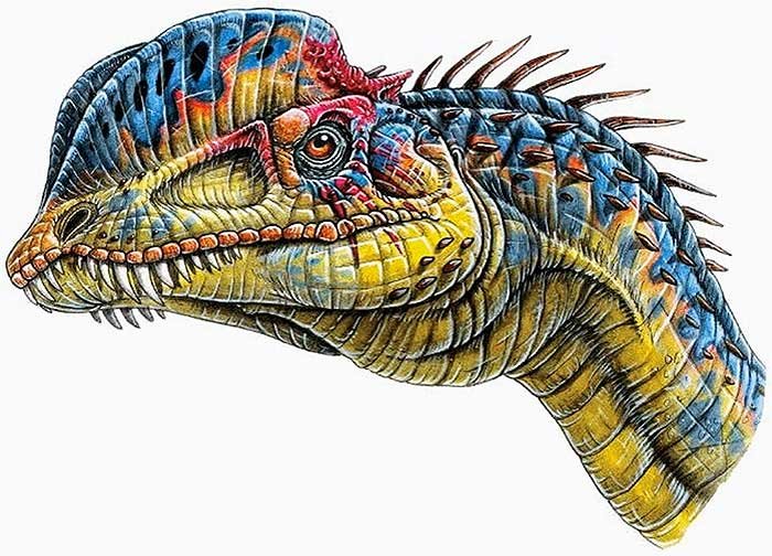 Динозавр с капюшоном на шее название