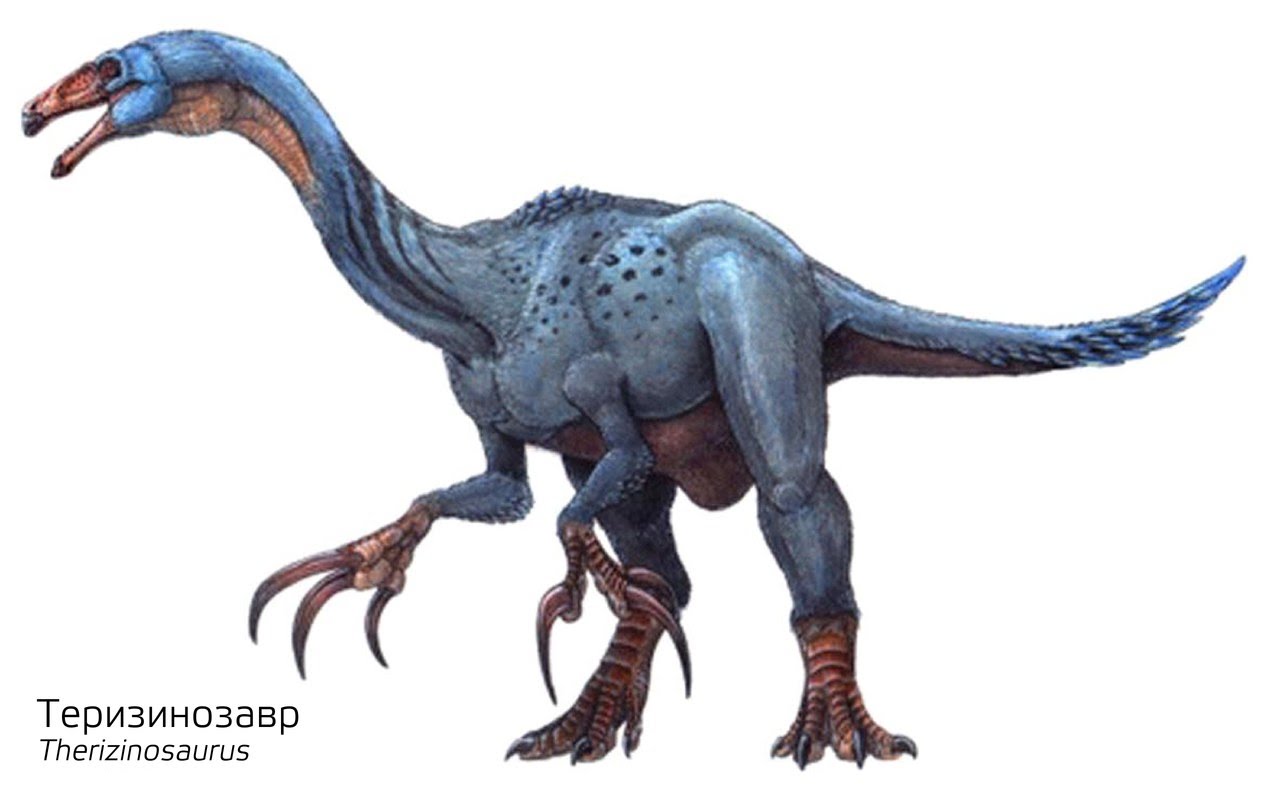 Теризинозавр видео