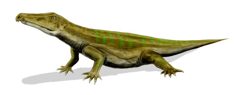 Тасманиозавр