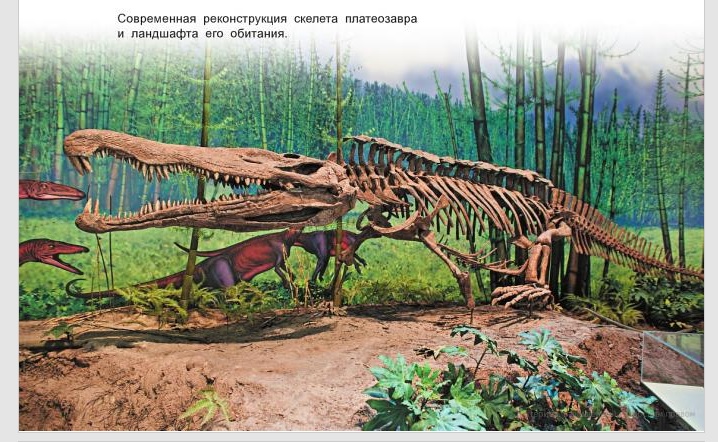 Фитозавр