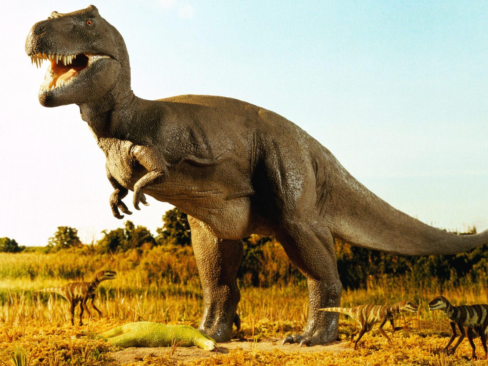 Слово динозавр означает страшный ящер. Королевский Тираннозавр. Динозавры хищники Тиранозавр. Тираннозавр рекс. Динозавр Тираннозавр Тирекс.