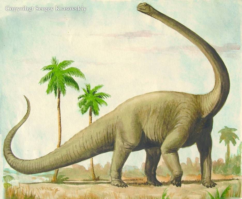 Как выглядит гигантозавр