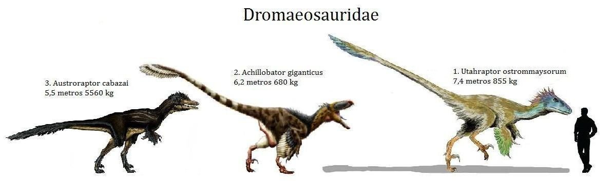 Динозавры с перьями название