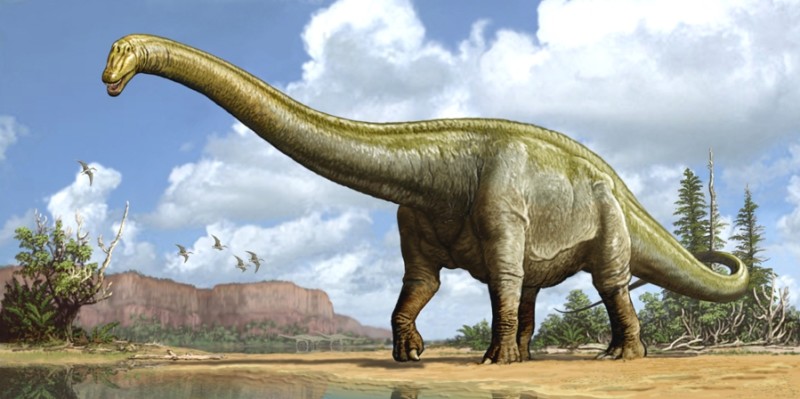 Диплодок динозавр фото