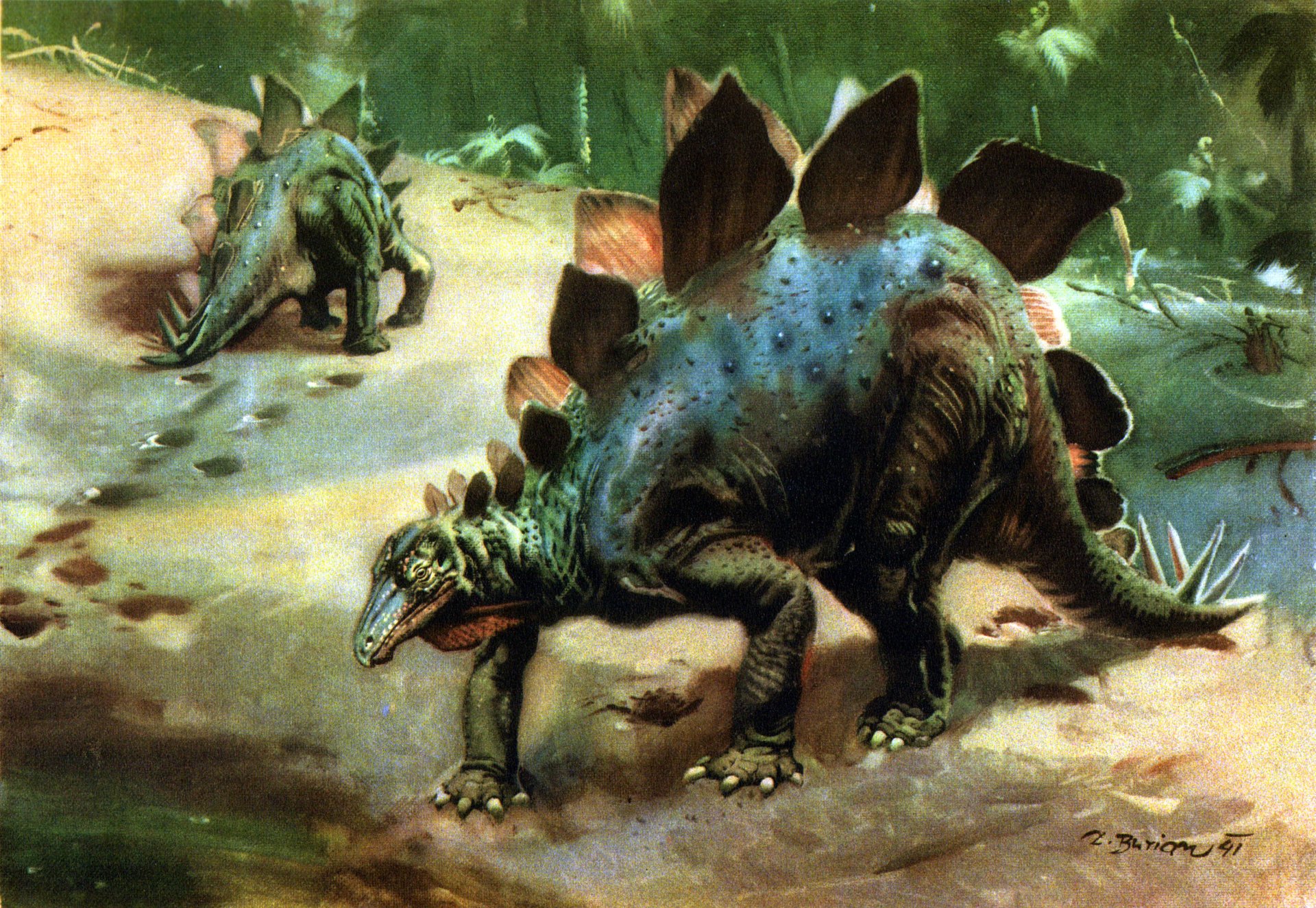 Стегозавр картинки, описание стегозавра